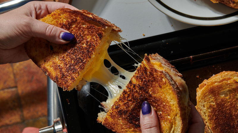 The Best Grilled Cheese Sandwiches